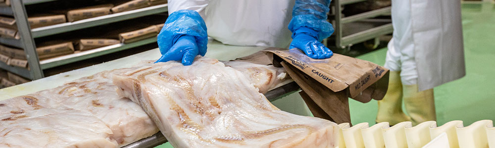 ryba žilina - výroba rybacích produktov